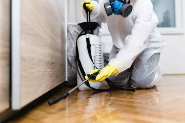 Best Affordable Pest Control Services  in Eagleville, PA