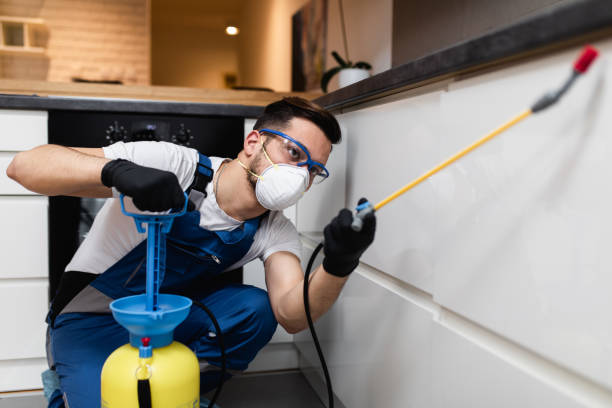 Best Cockroach Control Services  in Eagleville, PA