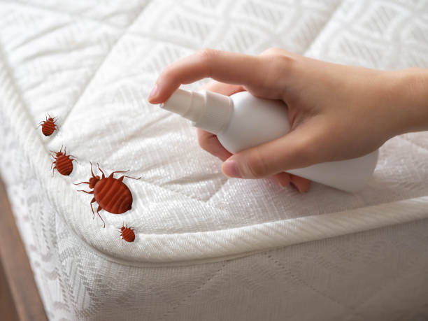 Best Pest Control Near Me  in Eagleville, PA
