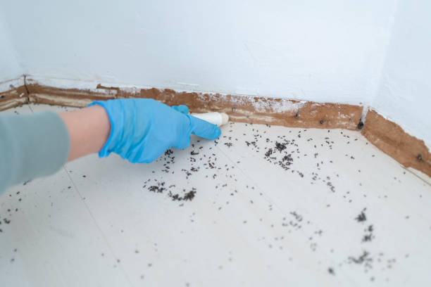 Best Mosquito Control Services  in Eagleville, PA